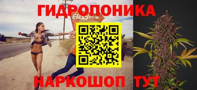 шишки Апрелевка