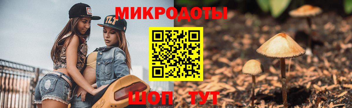 Псилоцибиновые грибы Psilocybine cubensis  Вход с VPN  цены   Великий Устюг  Галлюциногенные грибы Cubensis 